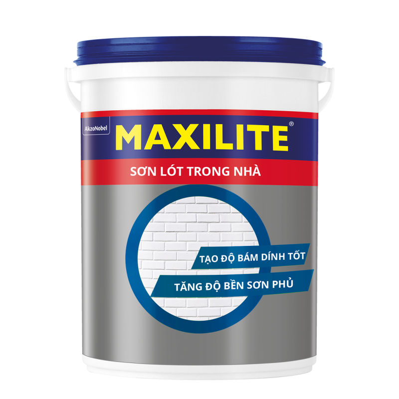Lót Maxilite Trong