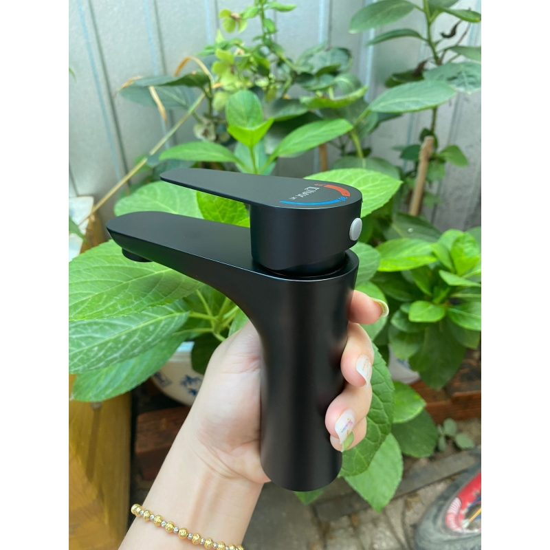 Vòi lavabo vòi rửa mặt sơn tĩnh điện đen